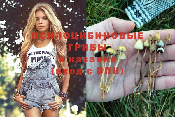 эйфоретик Дмитров