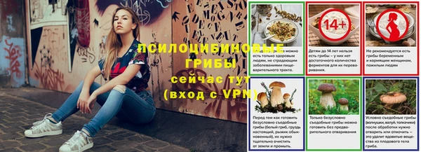 эйфоретик Дмитров