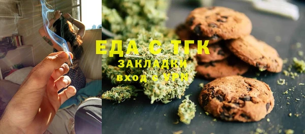 PSILOCYBIN Ельня