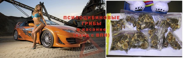 альфа пвп Дмитровск