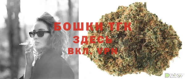 альфа пвп Дмитровск